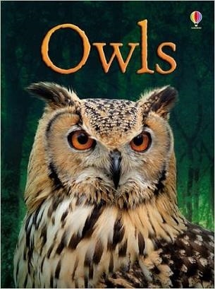OWLS | 9781409530664 | EMILY BONE