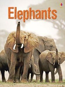 ELEPHANTS | 9781409530497