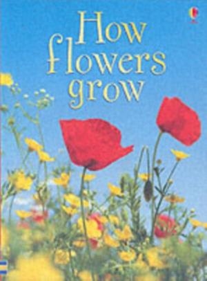 HOW FLOWERS GROW | 9780746074503 | ENCYCLOPEDIAS AND GENERAL KNOWLEDGE