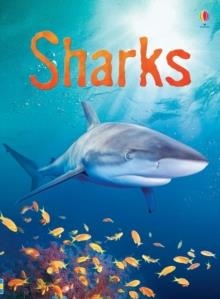 SHARKS | 9780746074756 | ENCYCLOPEDIAS AND GENERAL KNOWLEDGE