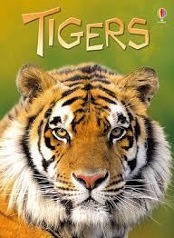 TIGERS BEGINNERS | 9781409530671
