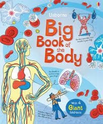 BIG BOOK OF THE BODY WITH 4 GIANT FOLD-OUTS | 9781409564041 | MINNA LACEY