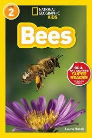 NATIONAL GEOGRAPHIC READERS LEVEL 2: BEES | 9781426322815 | LAURA MARSH