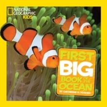 LITTLE KIDS FIRST BIG BOOK OF THE OCEAN | 9781426313684 | CATHERINE D HUGHES