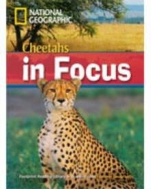 CHEETAHS IN FOCUS!+MROM | 9781424022199