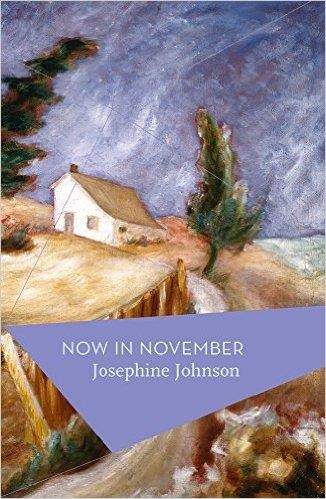 NOW IN NOVEMBER | 9781784970758 | JOSEPHINE JOHNSON