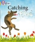 CATCHING FLIES (POETRY) -FICTION-GOLD - BAND 9 | 9780007461813
