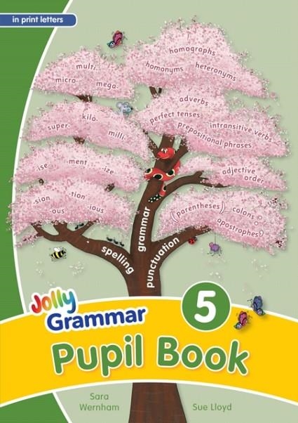 GRAMMAR 5 PUPIL BOOK (IN PRINT LETTERS) | 9781844144839 | Sara Wernham