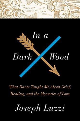 IN A DARK WOOD: A MEMOIR OF GRIEF HEALING | 9780008100667 | JOSEPH LUZZI