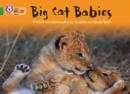 BIG CAT BABIES-FICTION-GREEN - BAND 5 | 9780007185948