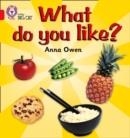WHAT DO YOU LIKE? -NON-FICTION-RED - BAND 2B | 9780007185641 | ANNA OWEN
