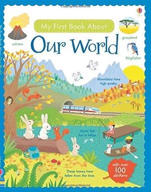 MY FIRST BOOK ABOUT OUR WORLD | 9781409597582