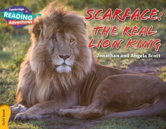 SCARFACE: THE REAL LION KING | 9781107560475