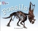 FOSSILS -NON-FICTION-WHITE - BAND 10 | 9780007336197