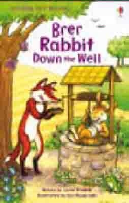BRER RABBIT DOWN THE WELL | 9781409506522
