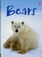BEARS | 9780746080467