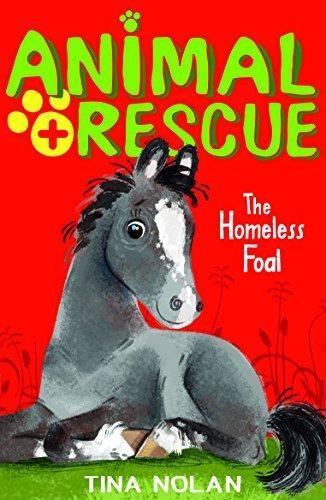 ANIMAL RESCUE 3: THE HOMELESS FOAL | 9781847156815 | TINA NOLAN