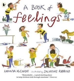 A BOOK OF FEELINGS | 9781406365917 | AMANDA MCCARDIE