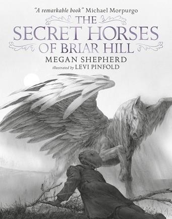 THE SECRET HORSES OF BRIAR HILL | 9781406367584 | LUCY COUSINS