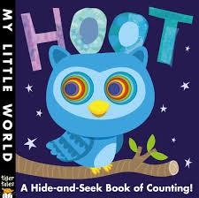 HOOT: A HOLE-SOME BOOK OF COUNTING! | 9781848958135 | FHIONA GALLOWAY