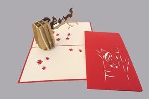 ARDILLA | 8436560040750