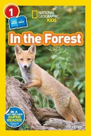 IN THE FOREST | 9781426326219 | NATIONAL GEOGRAPHIC KIDS