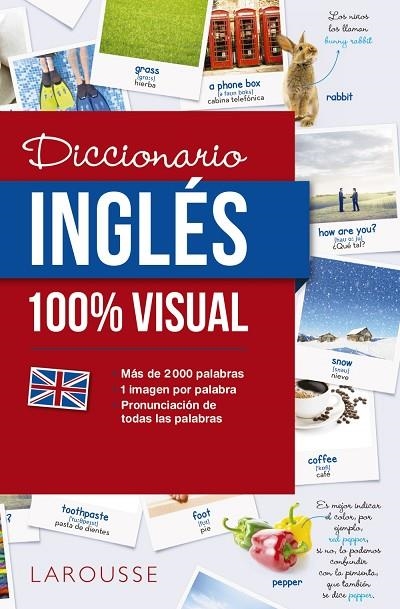 DICCIONARIO DE INGLES 100% VISUAL | 9788416641772 | LAROUSSE EDITORIAL