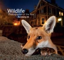 WILDLIFE PHOTOGRAPHER OF THE YEAR | 9780565093952 | ROSAMUND KIDMAN COX