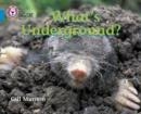 WHAT'S UNDERGROUND? | 9780007185863 | GILL MUNTON