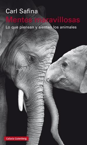 MENTES MARAVILLOSAS | 9788481095746 | Safina, Carl
