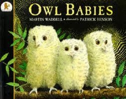 OWL BABIES | 9780744531671 | MARTIN WADDELL