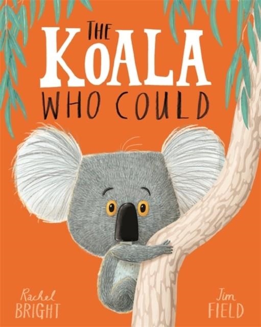 THE KOALA WHO COULD | 9781408331644 | RACHEL BRIGHT