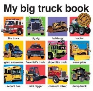 MY BIG TRUCK BOOK | 9781849154635 | VARIS AUTORS