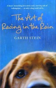 THE ART OF RACING IN RAIN | 9780007281190 | GARTH STEIN