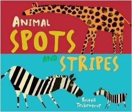 ANIMAL SPOTS AND STRIPES | 9781783707669 | BRITTA TECKENTRUP