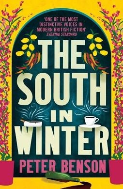 THE SOUTH IN WINTER | 9781846884238 | PETER BENSON