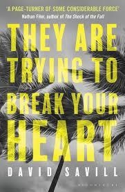 THEY ARE TRYING TO BREAK YOUR HEART | 9781408865781 | DAVID SAVILL