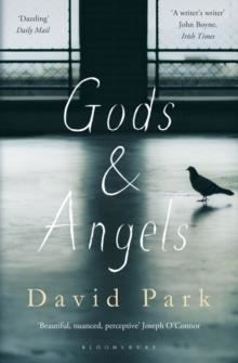 GODS AND ANGELS | 9781408866092 | DAVID PARK