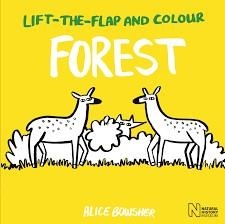 LIFT THE FLAPS + COLOUR: FOREST | 9781847809537 | NATURAL HISTORY MUSEUM