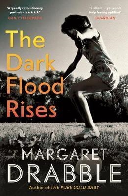 THE DARK FLOOD RISES | 9781782118336 | MARGARET DRABBLE
