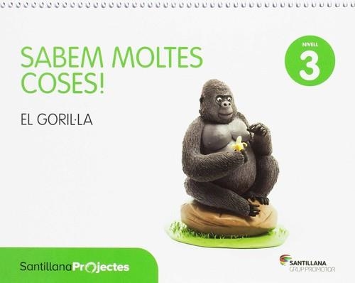 EL GORILLA CATAL SABEM ED17-NIVELL 3 | 9788491303435 | Varios autores