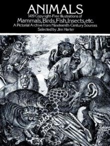ANIMALS 1419 COPYRIGHT FREE ILLUSTRATIONS | 9780486237664 | JIM HARTER