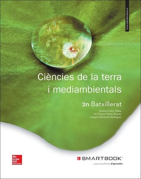TX+SB CIENCIES DE LA TERRA I MEDIAMBIENTALS 2N BATXILLERAT. COMUNIDAD VALENCIANA | 9788448611613 | CALVO ALDEA
