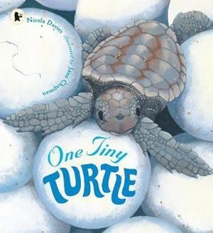 ONE TINY TURTLE | 9781406364637 | NICOLA DAVIES
