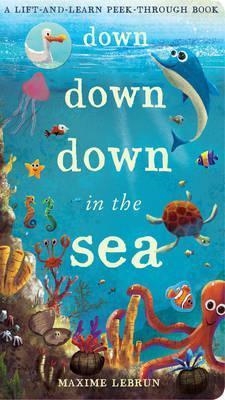 DOWN DOWN DOWN IN THE SEA : A LIFT-AND-LEARN PEEK-THROUGH BOOK | 9781848575530 | MAXIME LEBRUN
