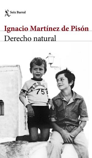 DERECHO NATURAL | 9788432232220 | Martínez de Pisón, Ignacio