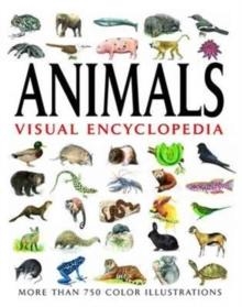 ANIMAL VISUAL ENCYCLOPEDIA | 9781908273017