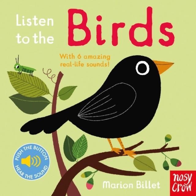 LISTEN TO THE BIRDS | 9780857638656 | MARION BILLET