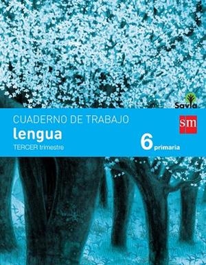 6º EP CUADERNO LENGUA 3º TRIMESTRE PAUTA SAVIA-15 | 9788467578560 | ECHEVARRÍA, ESTHER