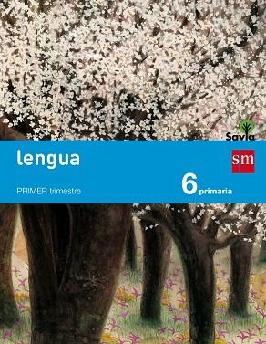 6º EP LENGUA CASTELLANA TRIMESTRAL SAVIA-15 | 9788467575668 | CALZADO ROLDÁN, ARACELI/DUQUE HERNÁNDEZ, MARÍA/JOVER GÓMEZ FERRER, PALOMA/MERCHÁN MORENO, MARÍA LUIS